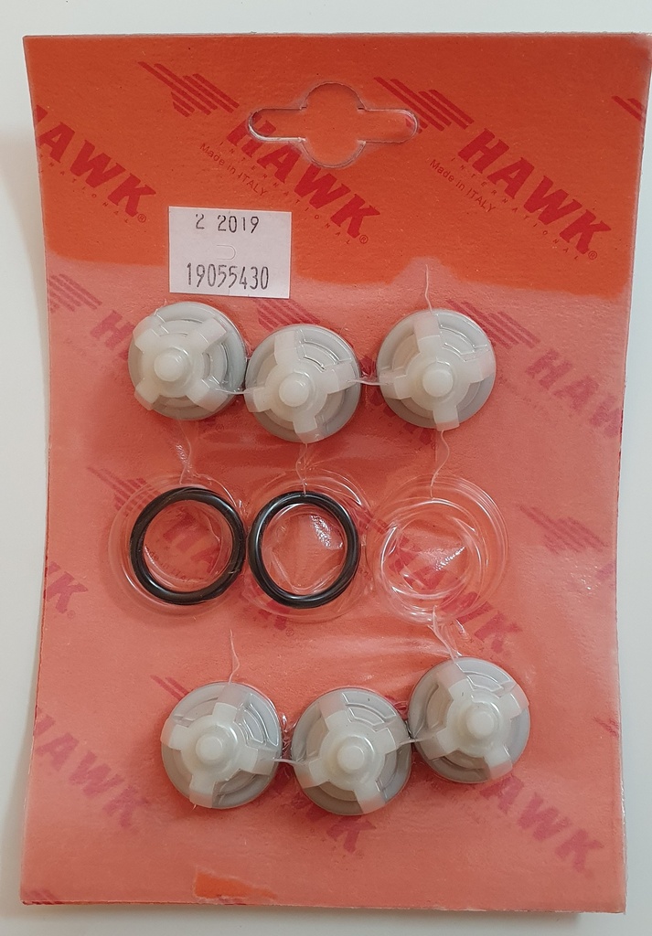 HAWK 19055430 - pump valve 260008